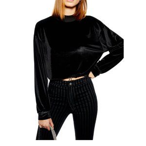 Topshop Velour Cropped Sweater